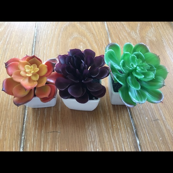 Other - $5 SALE ⛄️ 3 faux succulents